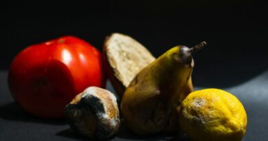 Која храна не треба да се чува заедно: Една грешка може да го забрза расипувањето на храната
