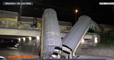 (ВИДЕО) Tоварен воз падна од мост во Минхен