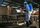Во Франција потврден првиот случај на ебола