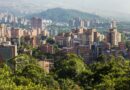 Овој град засади 880.000 дрвја и ја намали температурата за 3 степени: Наместо во клима-уреди, инвестираа во милиони садници