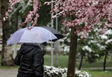 Температурите до 36 степени, попладне дожд и грмежи