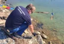 Артилериска граната тешка над 13 кг отстранета од плажа на Дојранското Езеро