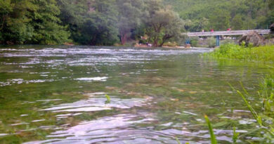 Капењето за малку ќе завршеше трагично: Надојдена вода однесе три лица во Треска