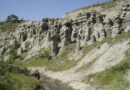 УЈП го осуди нападот над даночните службеници кај Куклица