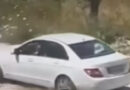 Судот во Улцињ одреди 30-дневен притвор за македонска државјанка која е осомничена дека намерно прегазила куче