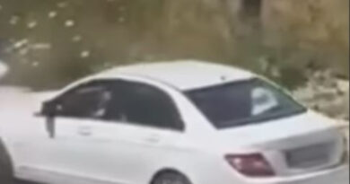 Судот во Улцињ одреди 30-дневен притвор за македонска државјанка која е осомничена дека намерно прегазила куче
