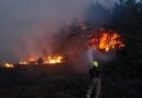 Огромен пожар гори близу најголемата нуклеарна централа во Британија, стотици луѓе се евакуирани
