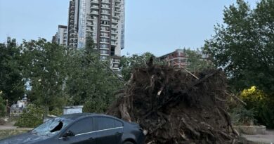 МВР: Во невремето во Скопје оштетени 117 возила, 35 покриви, 7 семафори, „Вила Водно“