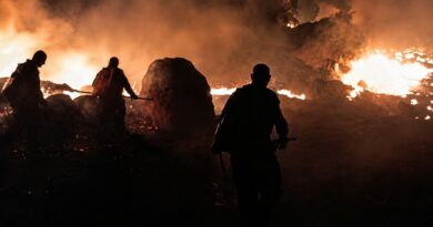 Огнот влезе во Чаниште – Над 20 куќи и плевни зафатени, четворица побарале помош