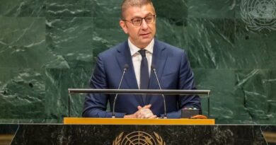 Мицкоски од ОН: Не бараме полесен пат, бараме пат уреден со правила – мала држава има право на исто достоинство и ист глас како големите сили