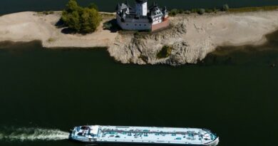 Најниски водостои на европските реки во последните 30 години