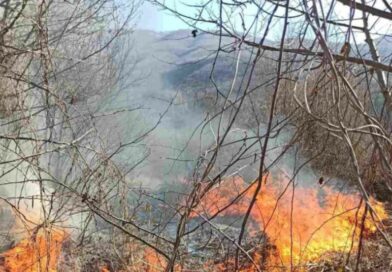 Пожар избувна на Шар Планина, горат пасишта