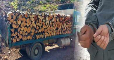 УАПСЕНИ ДИРЕКТОР И ВРАБОТЕНА ВО „НАЦИОНАЛНИ ШУМИ“ Одземени камиони и 400 кубици огревно дрво