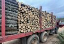 (ФОТО) Запленети над 500 кубни метри дрва и поднесени 140 пријави во засилените акции на Шумската полиција