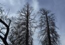 Големи температурни разлики утрово низ Македонија – УХМР најавува лош пресврт со времето